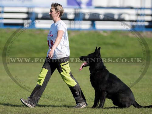 K9 Dog Training Suit for Schutzhund